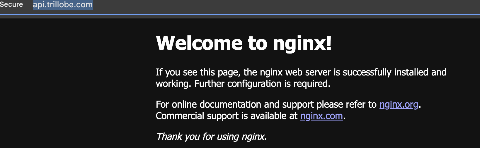 image-20250115184728164