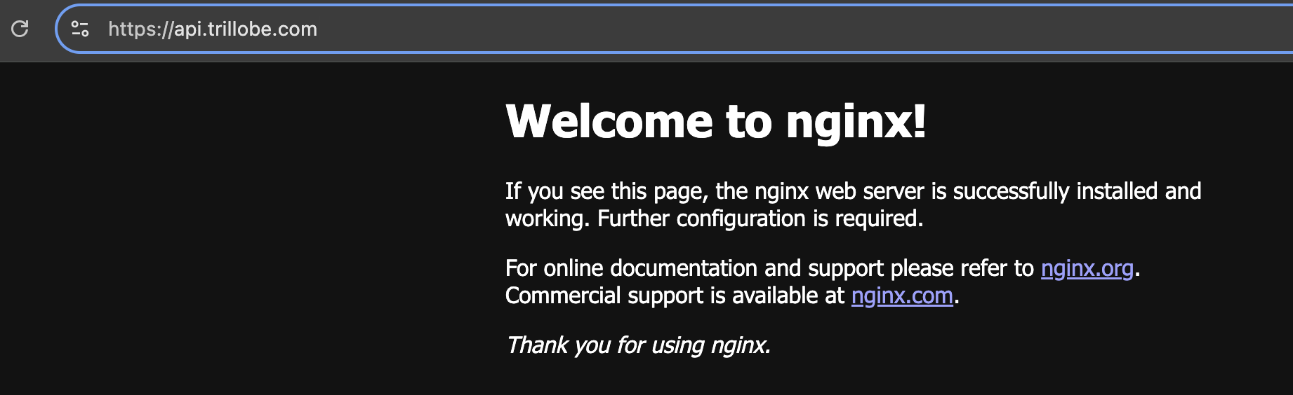 image-20250115190605919