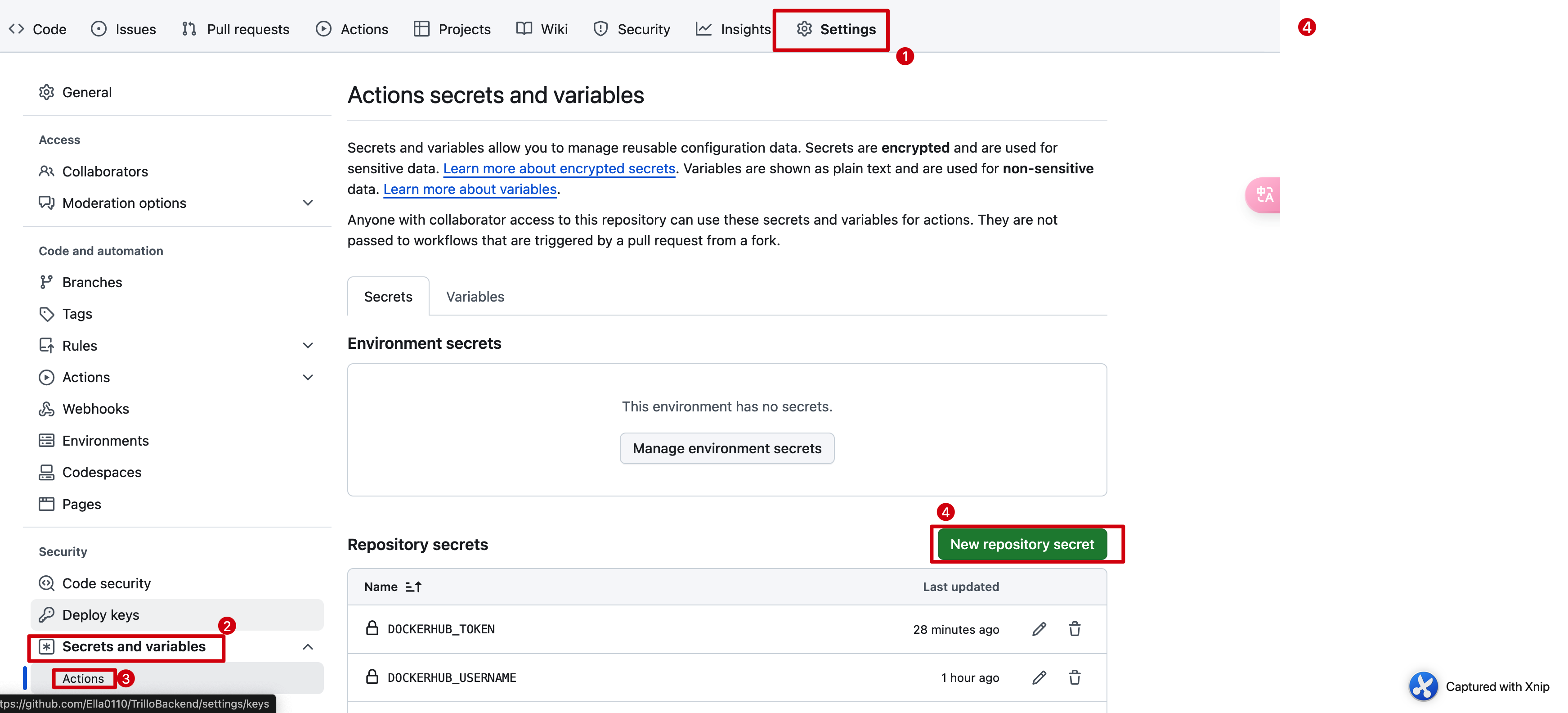 image-20250127174528568