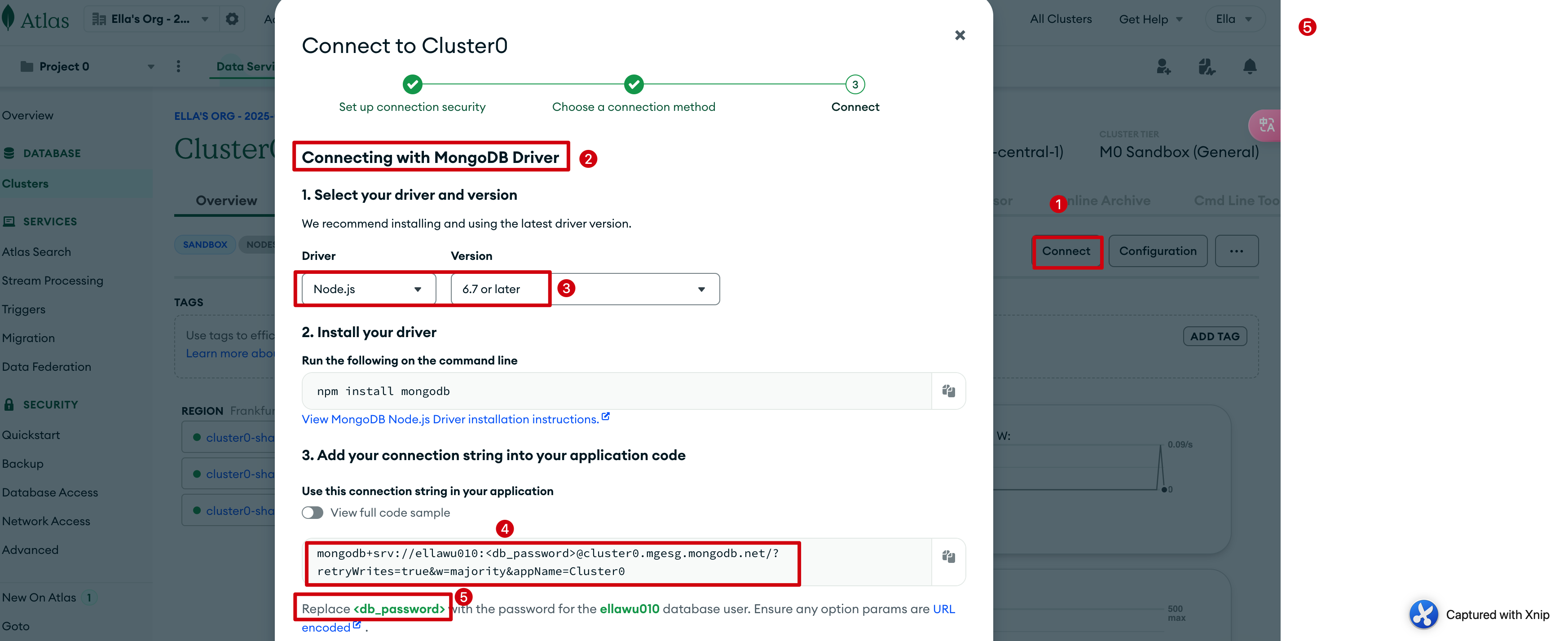 image-20250323101058531